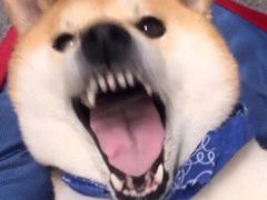 -阿里巴巴烧烤(嘉鸿花园店)