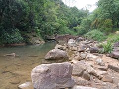 -广州白江湖森林公园