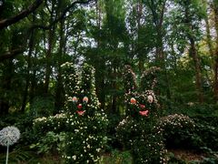 -共青国家森林公园-售票处