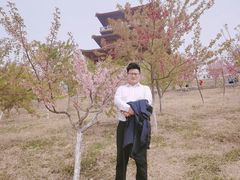 -古柏渡飞黄旅游区