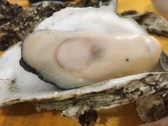 -蚝专家(北滘店)