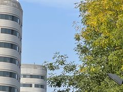 -首都医科大学附属北京天坛医院