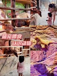 -欢乐舟·舟舟玩乐园