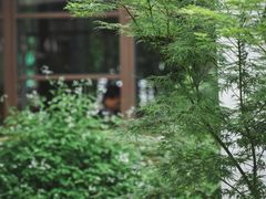 -扫雪煮茶(西村店)