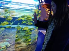 -大连圣亚海洋世界