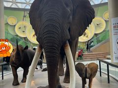 -陕西自然博物馆