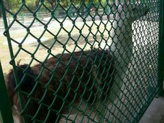 android_upload_pic-西安秦岭野生动物园