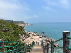 -广东惠东海龟国家级自然保护区