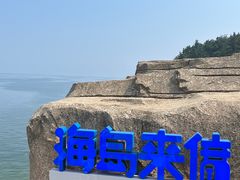 -养马岛旅游度假区