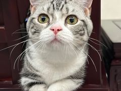 -贝康宠物医院·犬猫全科·小动物特色诊疗中心(东环路店)