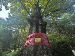 -灵栖洞天