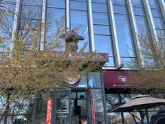 -了不起的考拉咖啡店(高新店)