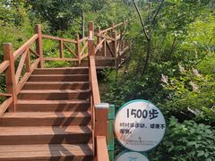 -大岭沟猕猴桃谷风景区