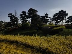 -秦文明广场