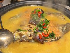 -探鱼·鲜青椒爽麻烤鱼(领展购物广场店)