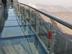 -南阳建业森林半岛假日酒店