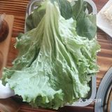 呼伦贝尔：大众点评上搜不到的烤肉