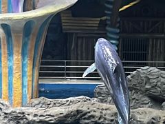 -郑州海洋馆