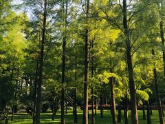 -晓港公园
