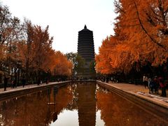 -玲珑塔公园