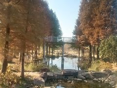 -无锡梅园公园