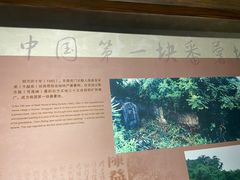 -东莞展览馆
