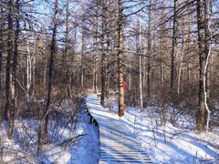 -北极村旅游风景区
