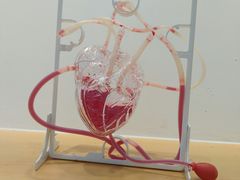 -斯坦星球AI编程·机器人科创·科学实验·信奥·思维·STEM·积木拼搭·竞赛考级(长宁虹桥大融城荟聚中心)