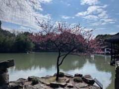 -兰亭风景区