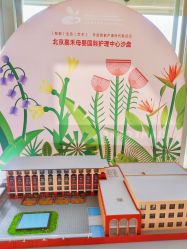 -北京嘉禾医疗