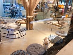 -momokira米努特·德文卷毛猫·棉花面纱犬