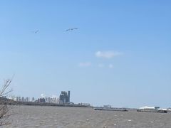 -上海滨江森林公园