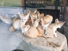 -野生动物园-停车场