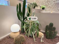 -隅乐胡椒虾·台湾菜·团建(皇岗店)