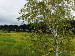 -塞罕坝国家级自然保护区