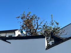 -北寺塔