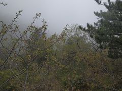 -妙峰山风景名胜区