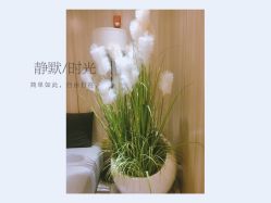 -CE·专业蛋白•羽毛接发·潮色烫染品牌店