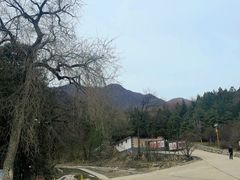 -北京鹫峰国家森林公园