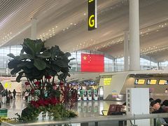 -广州白云国际机场-T2航站楼