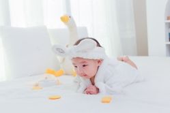 -小熊维尼高端儿童摄影(南山信和店)