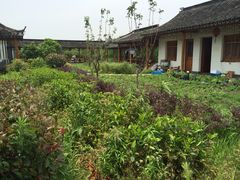 iphone_upload_pic-阿林有机农庄