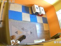 -趣玩宠物乐园寄养训犬训狗游泳池