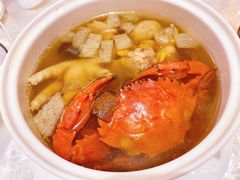 石夹红炖鲜竹笙-人间采蜜(海信广场店)