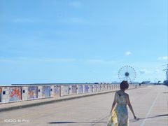 -碧海金沙