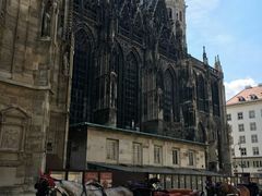 -斯蒂芬主教座堂(Stephansdom)