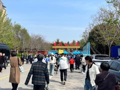 -曹州牡丹园