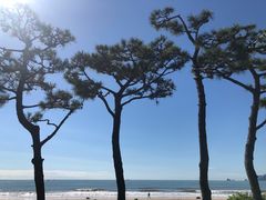 -海云台海滩