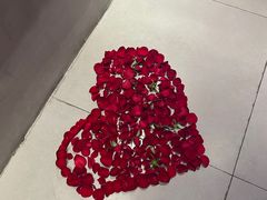 -辣伍鲜毛肚老火锅(元一店)