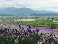 -富田农场